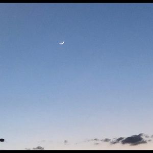 Meet your Posher, Ronald